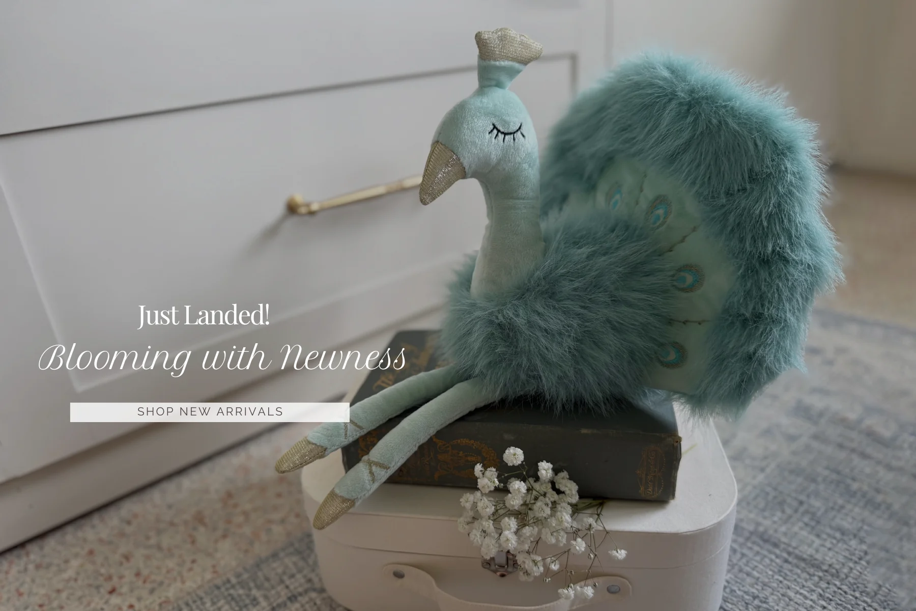 Whimsical Gifts for Every Moment
